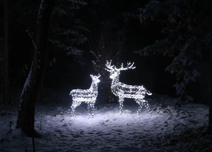 Fact * أرنولدشتاين